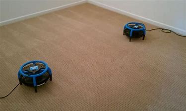 carpet cleaner Belfast